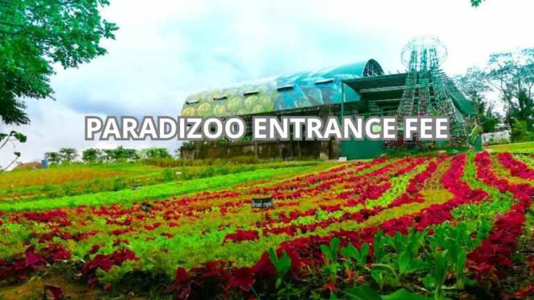 Paradizoo Entrance Fee Cover